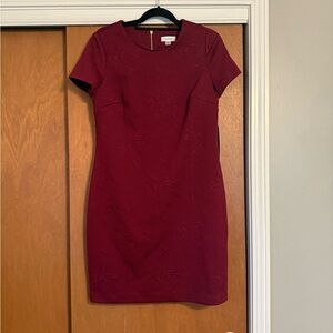 Calvin Klein Rich Red Mini Dress
